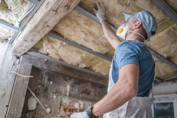 Best DIY Insulation Kits and Guidance in Pemberton Heights, NJ